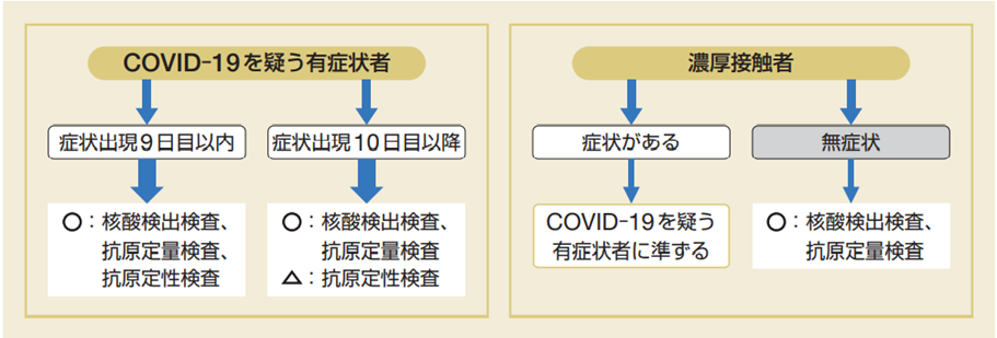検査フロー案　『出典: 新型コロナウイルス感染症（COVID-19）病原体検査の指針（第4.1版）』